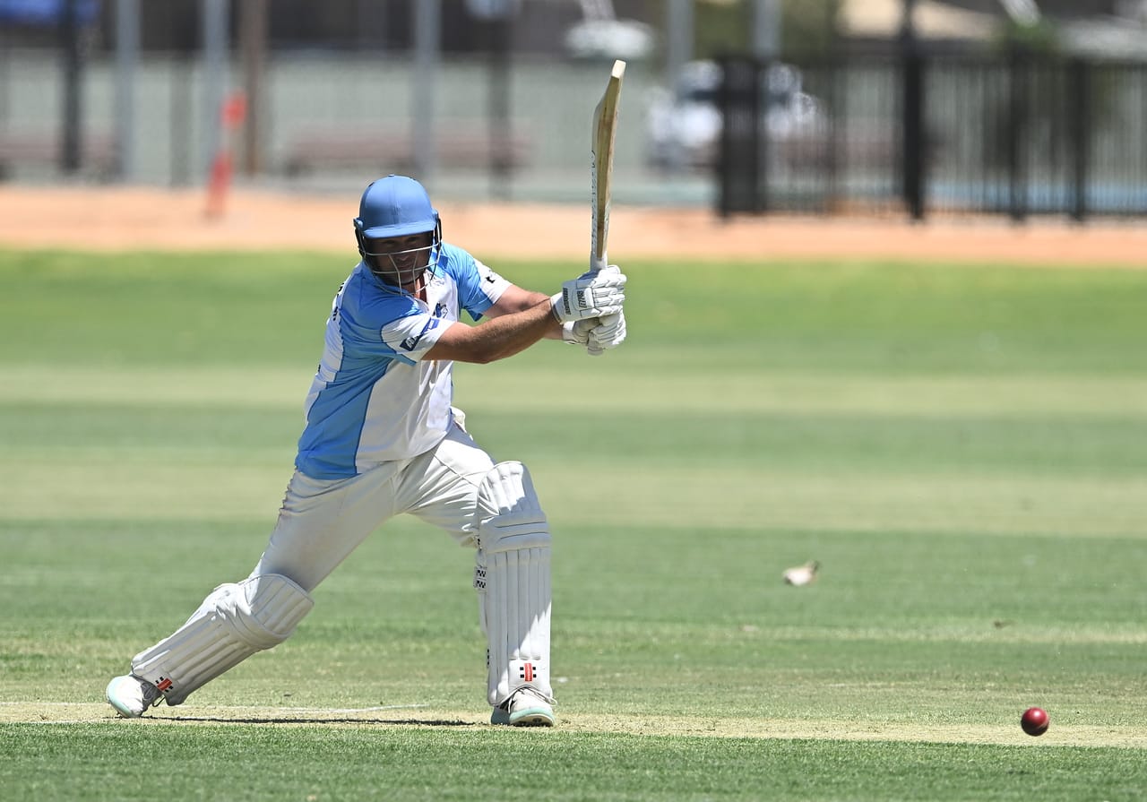 Williamson stars as Bluetongues wraps up season