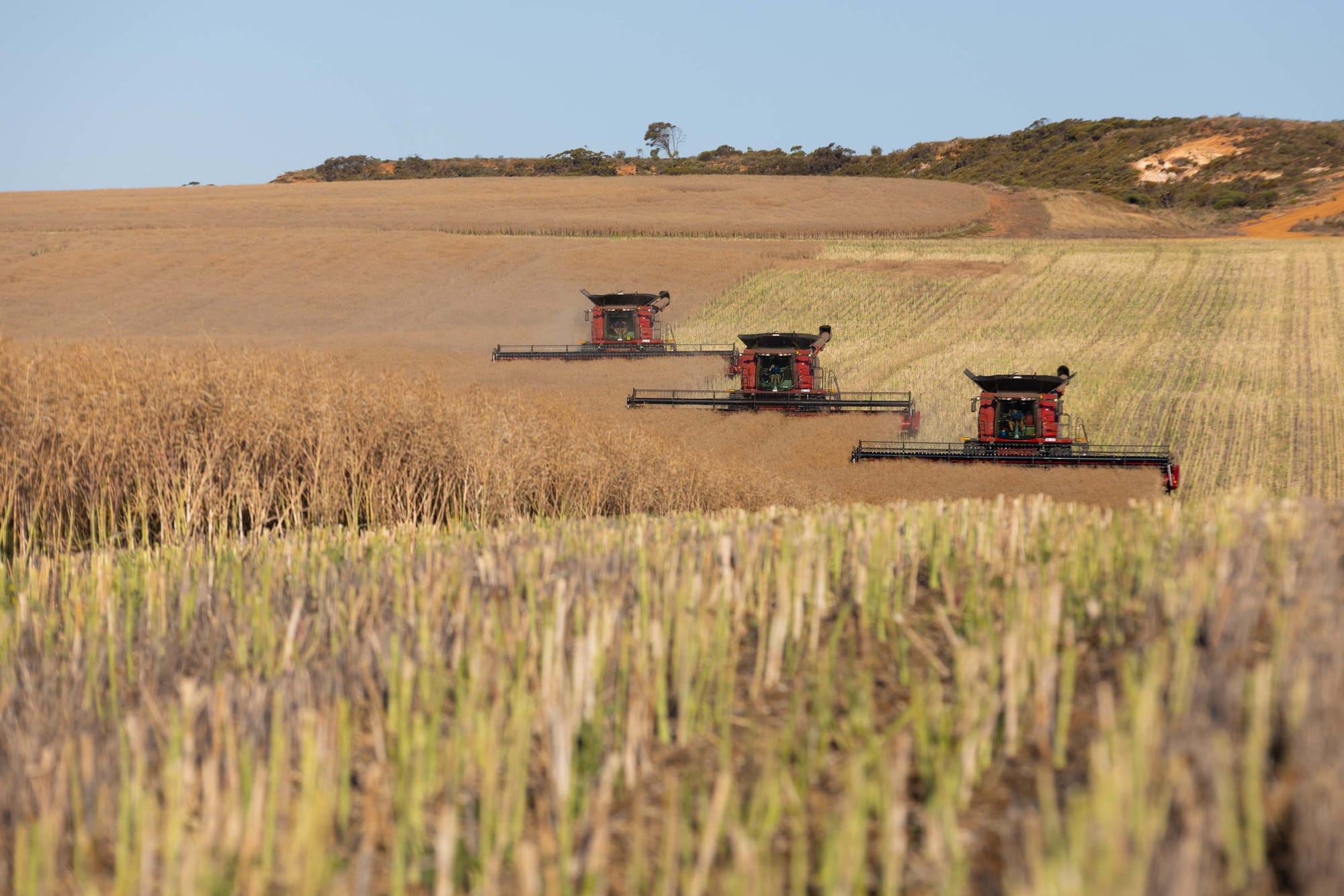 Nominate for Ag Town of the Year