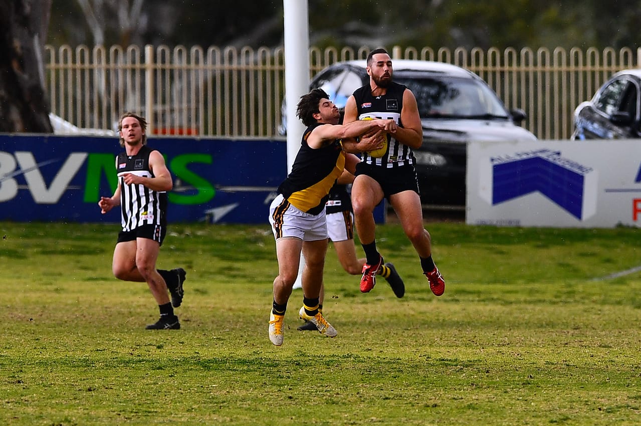 'Dusty' leaves the nest