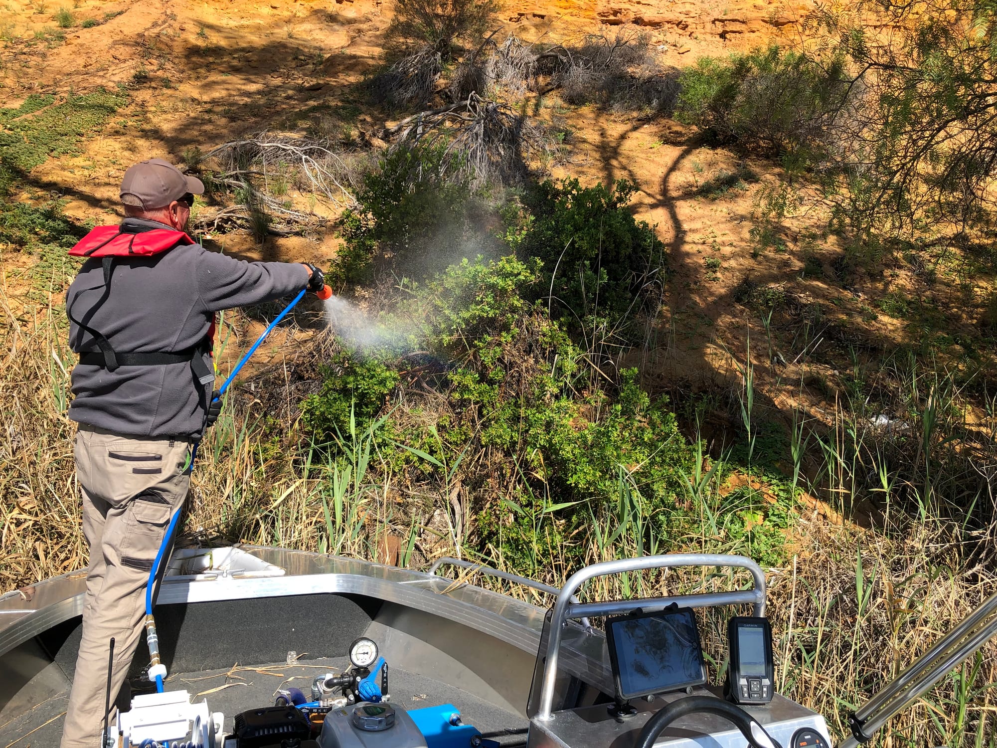 Weed warriors protect the Murray