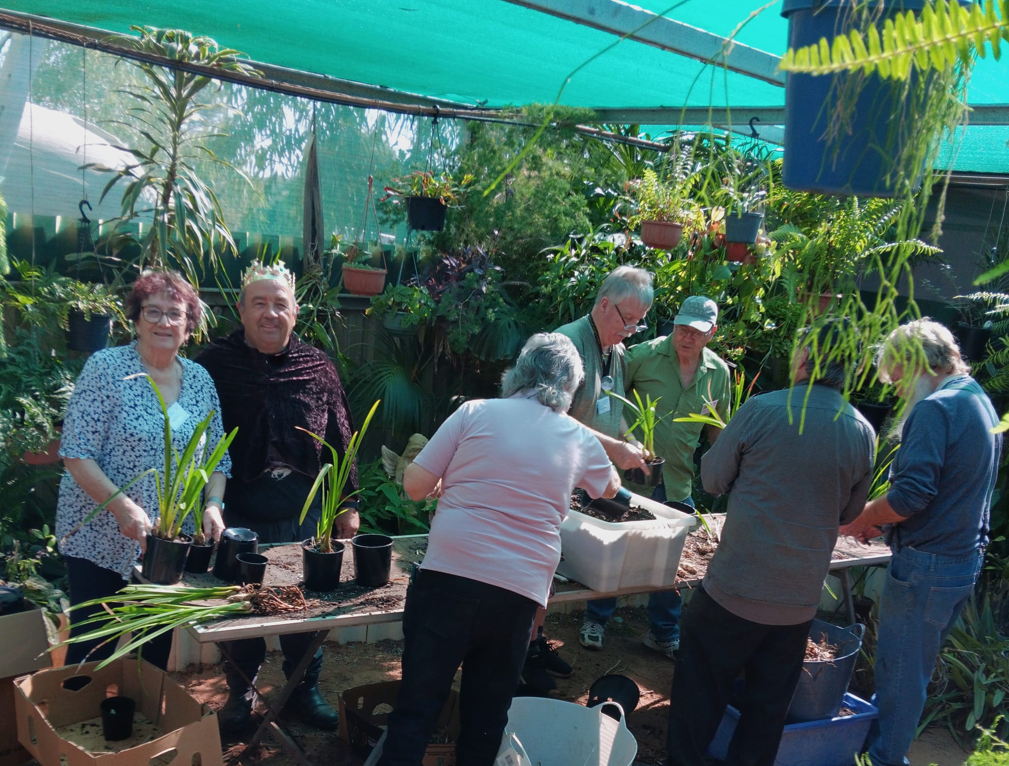Riverland and Murray Bridge clubs’ orchid gathering