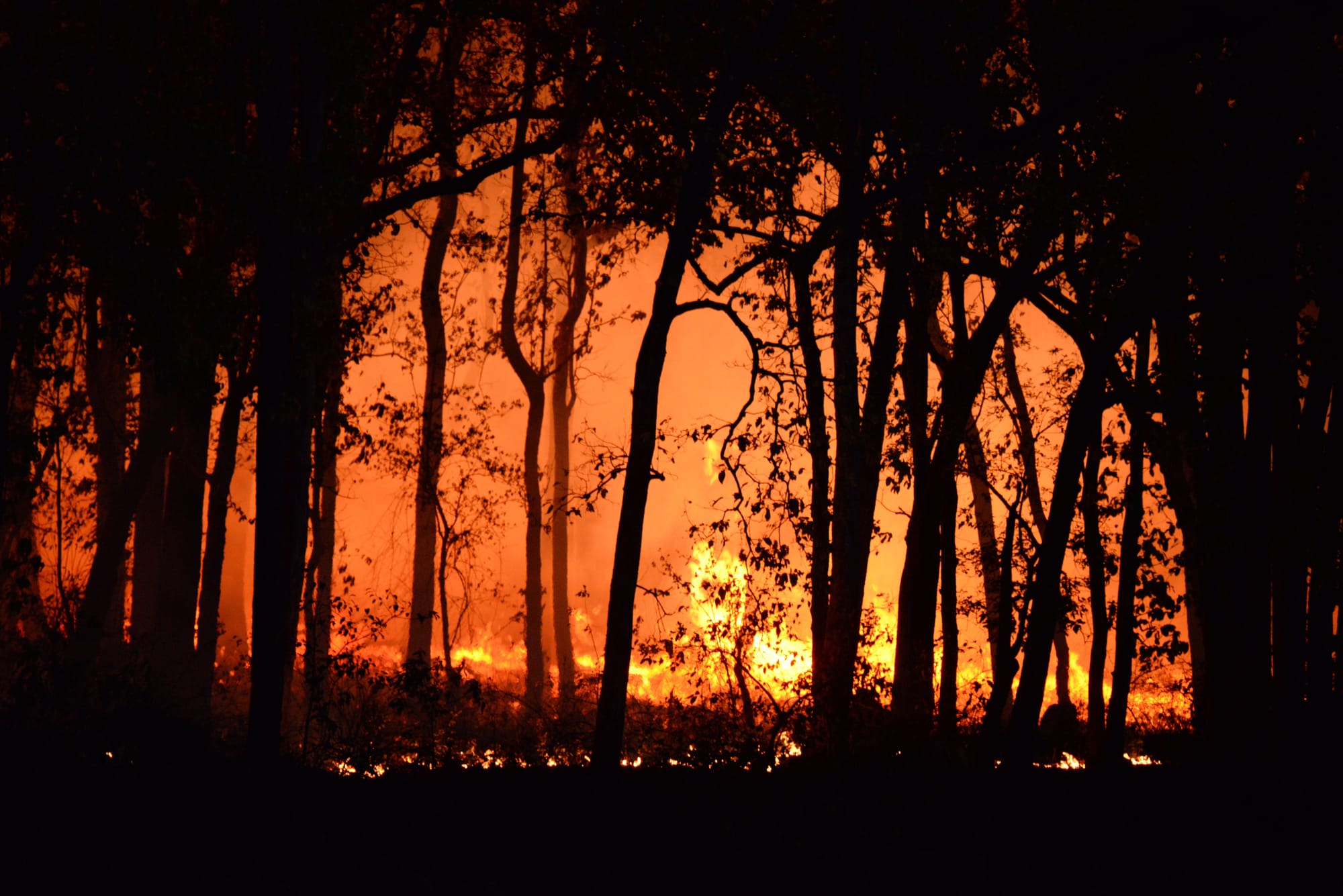 Be prepared for bushfires, says Tim