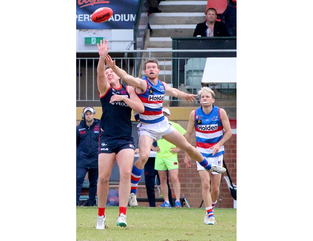 Thompson leaps into SANFL debut