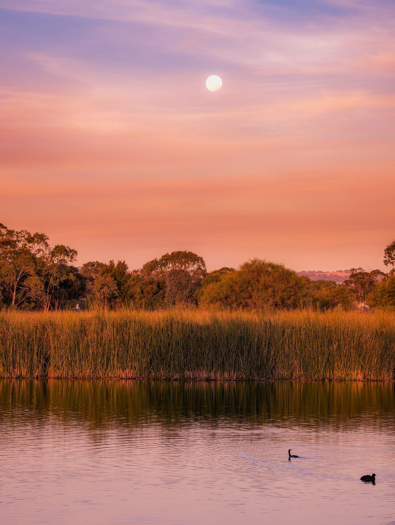 Grants to fund vital works in national parks