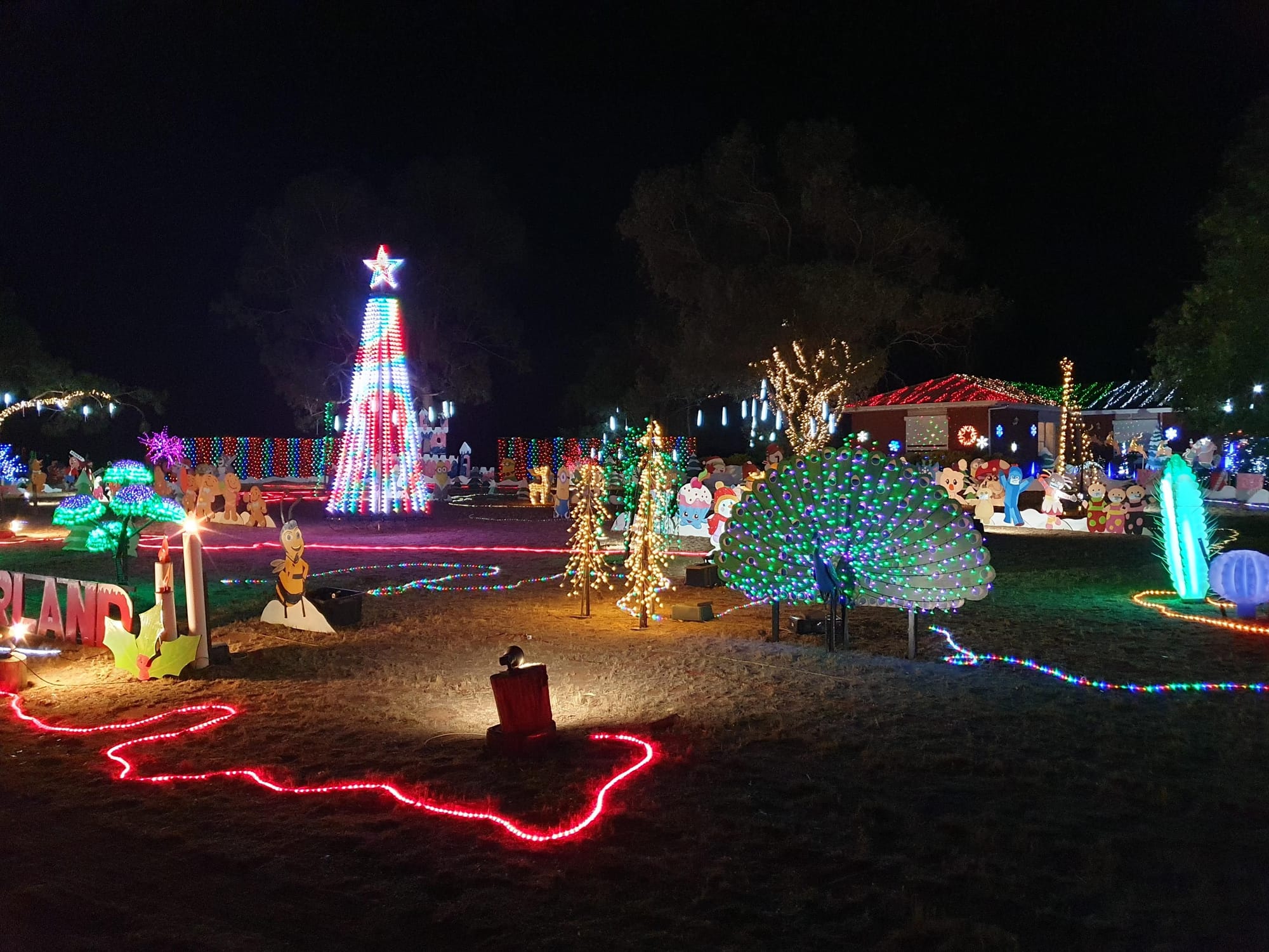Waikerie Senior Citizens' trip to Loxton lights