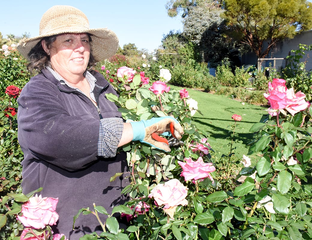 Festival set to bloom this year