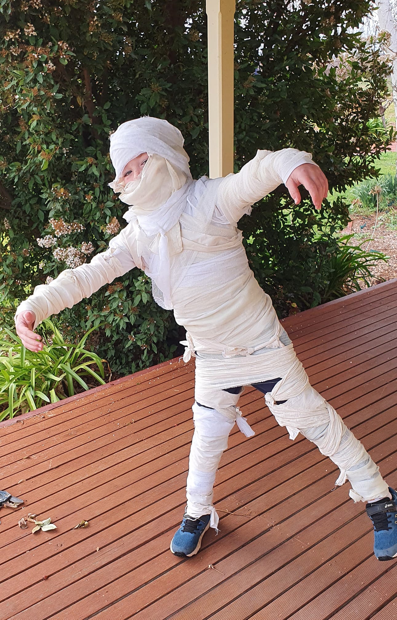 Renmark West Primary student Harry Dillon, 6, as an Egyptian mummy.