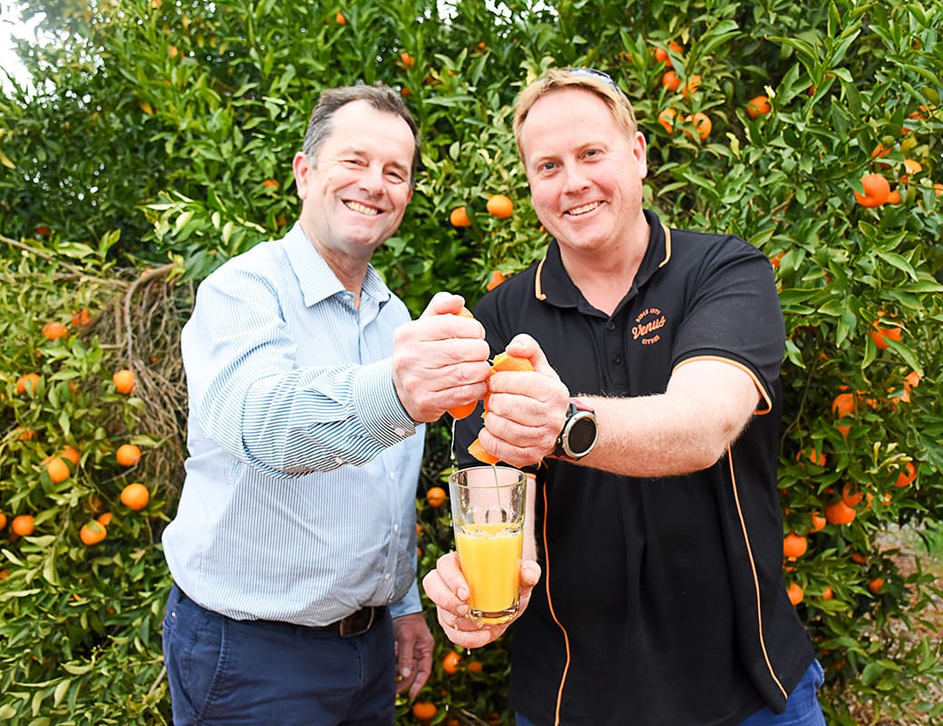 Fill your fruit bowl here