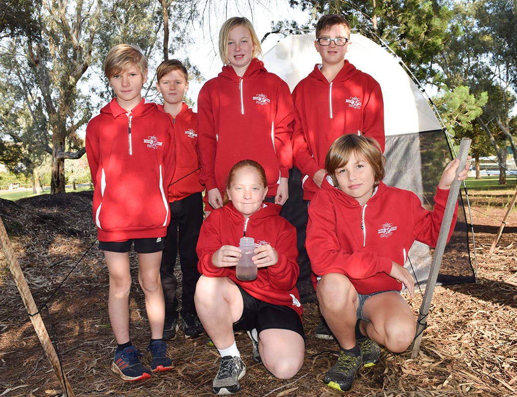 Ramco students’ wasp discovery