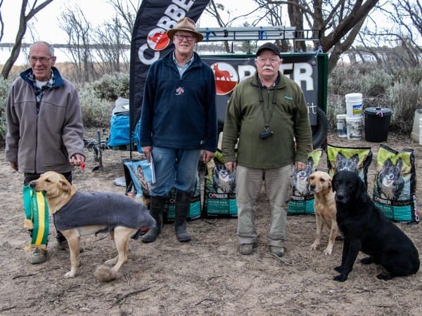 ‘Gun dogs’ showcased at Loveday competition