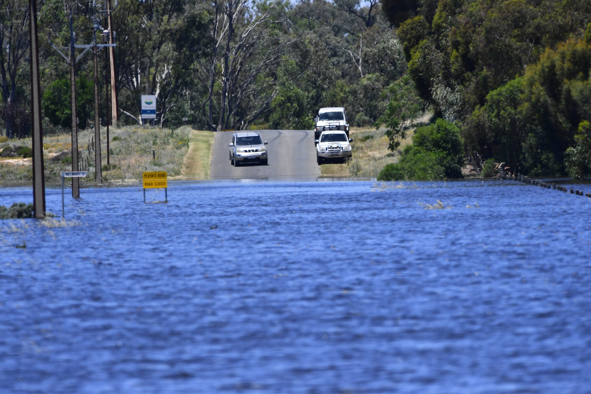 Renmark car roof rescue