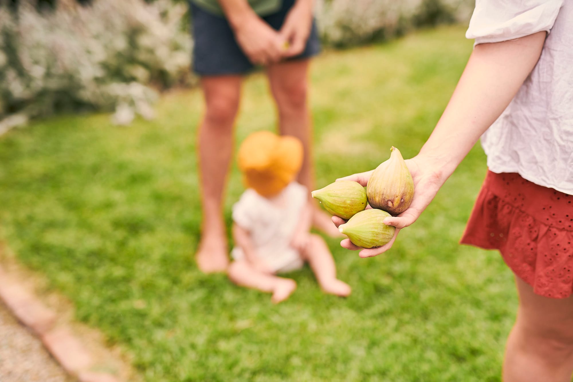 Safeguarding for South Australia’s $1.3bn horticulture industry