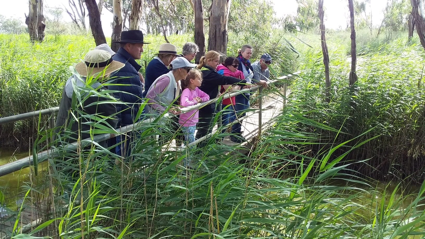 Free guided environmental walks to celebrate Week of Ageing Well