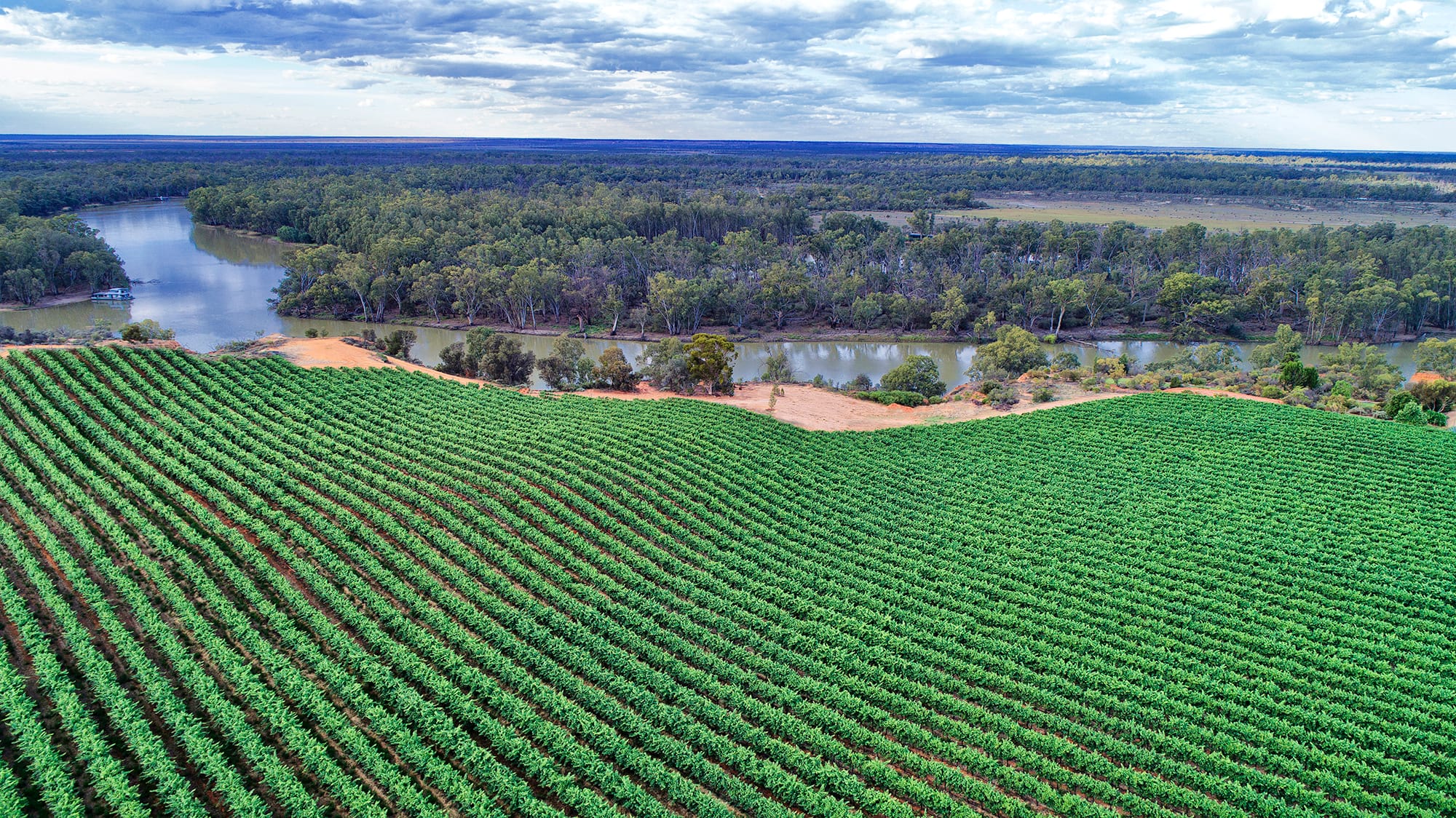 Mayors respond to Tim’s call for councils to help growers