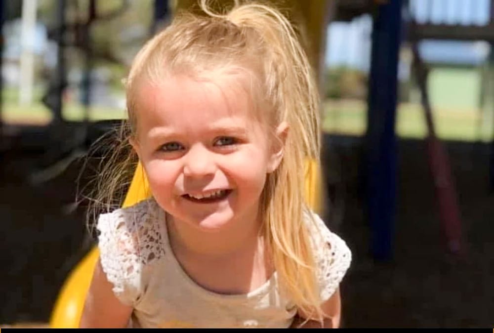 Backyard blitz: Elizabeth’s own fairy garden