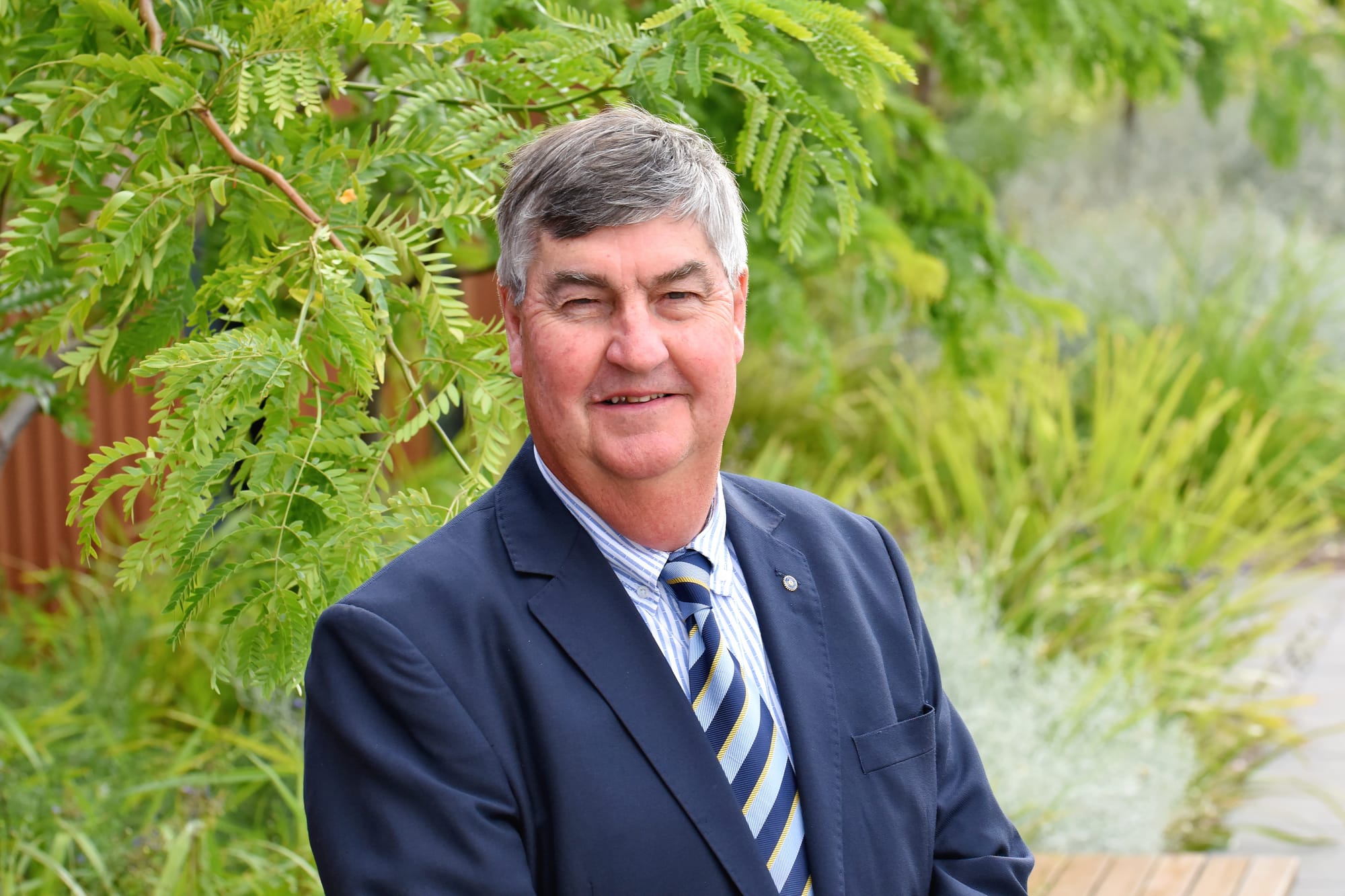 Councillor seeks more information on Precinct