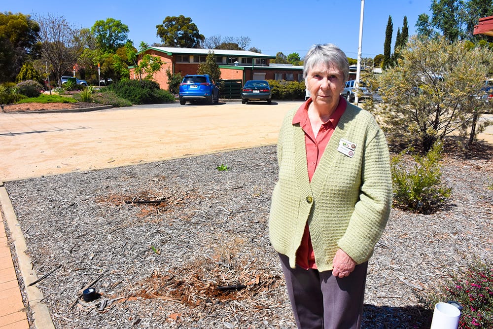 Stolen roses leave SACWA members devastated