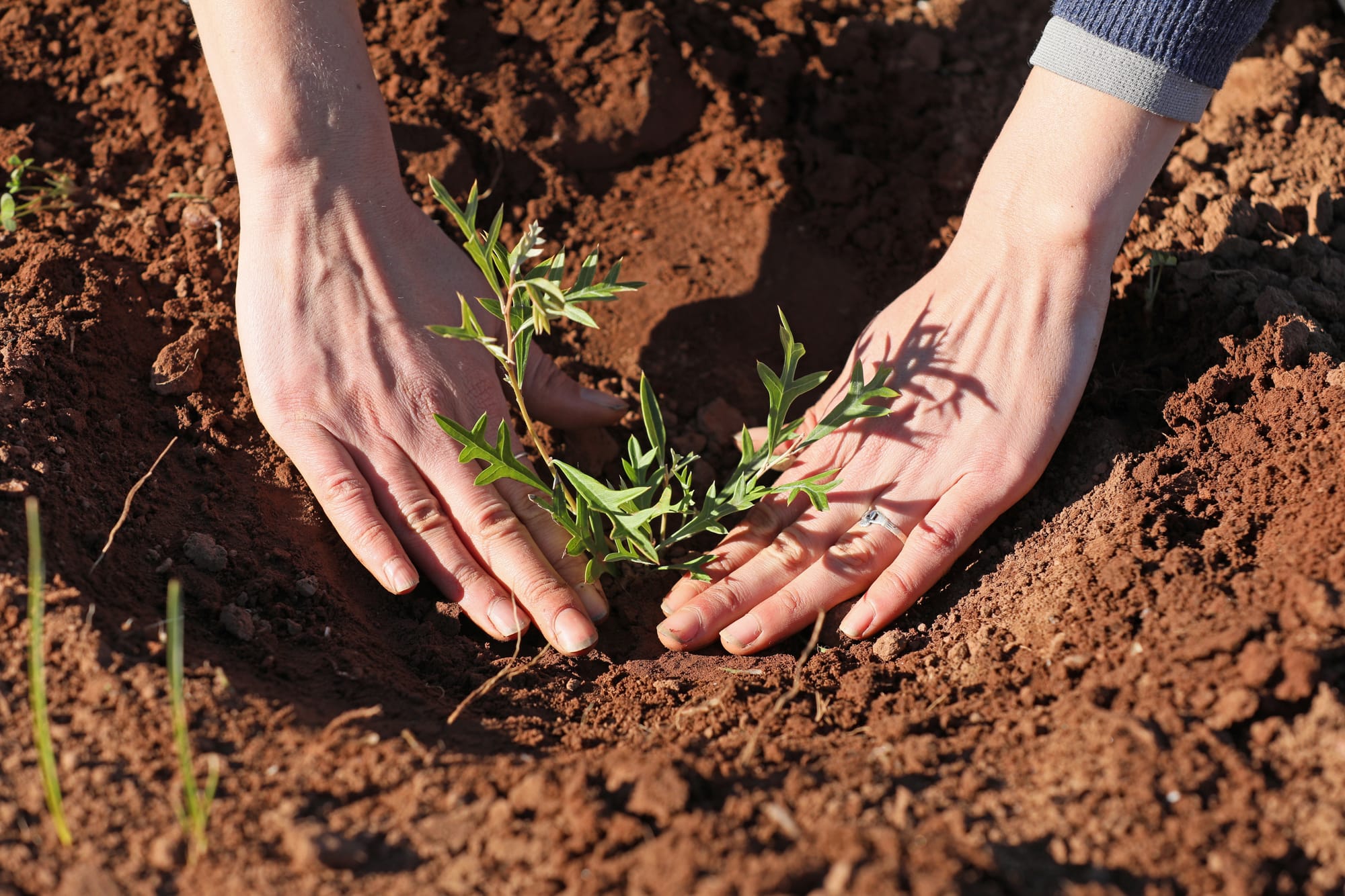 Grants program boosts enviro groups