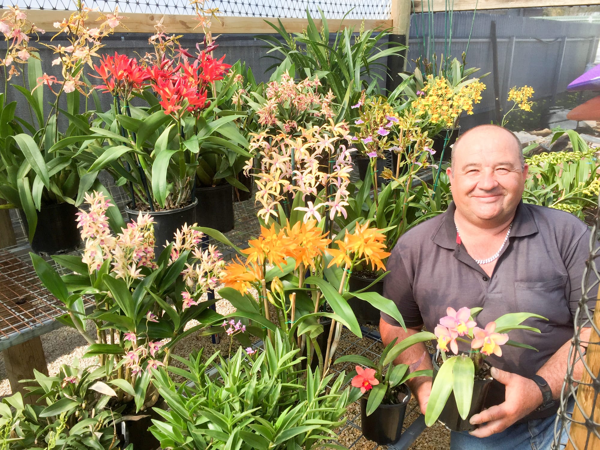 Orchid show returns this weekend