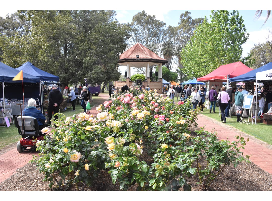 Festival will come up roses
