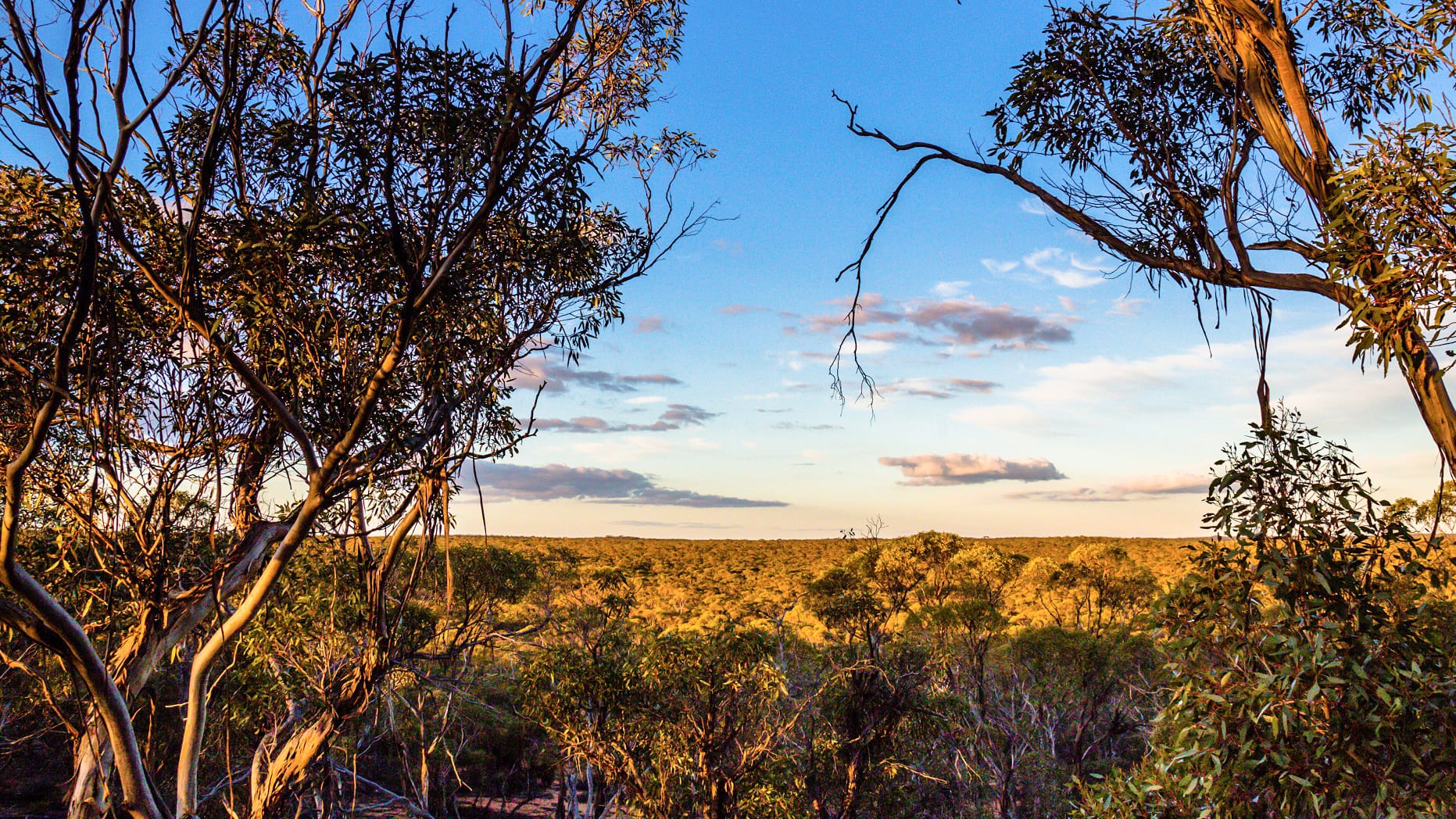 Local habitats in the spotlight
