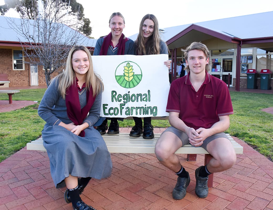 Loxton High sharks create incredible pitches