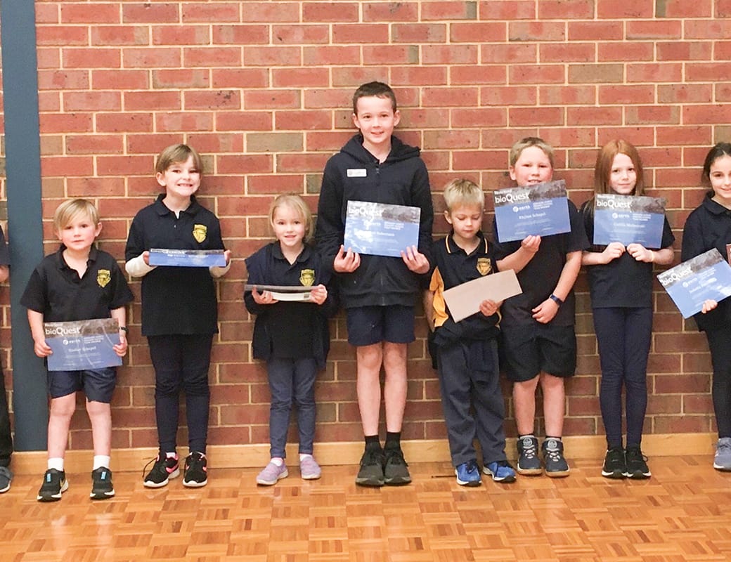 Students’ amazing discoveries