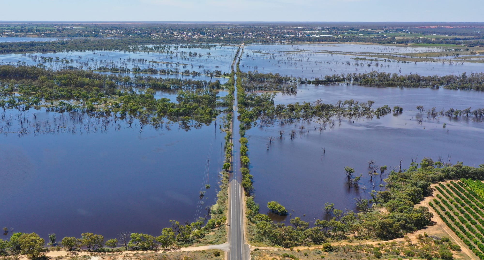 Tim wants Booky Road open ASAP