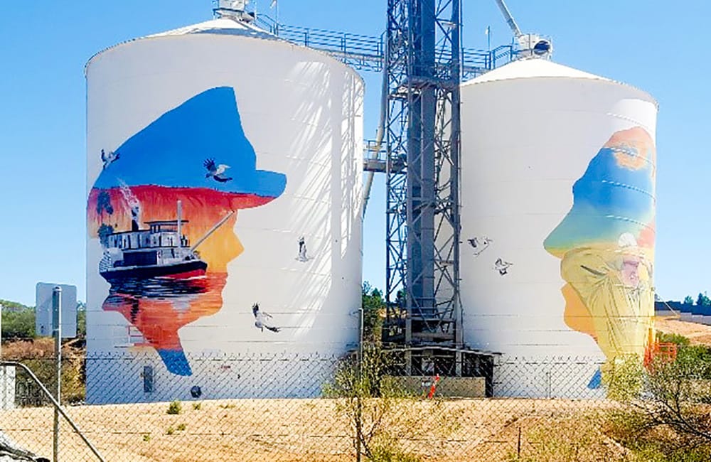 Lions get behind Paringa silo art