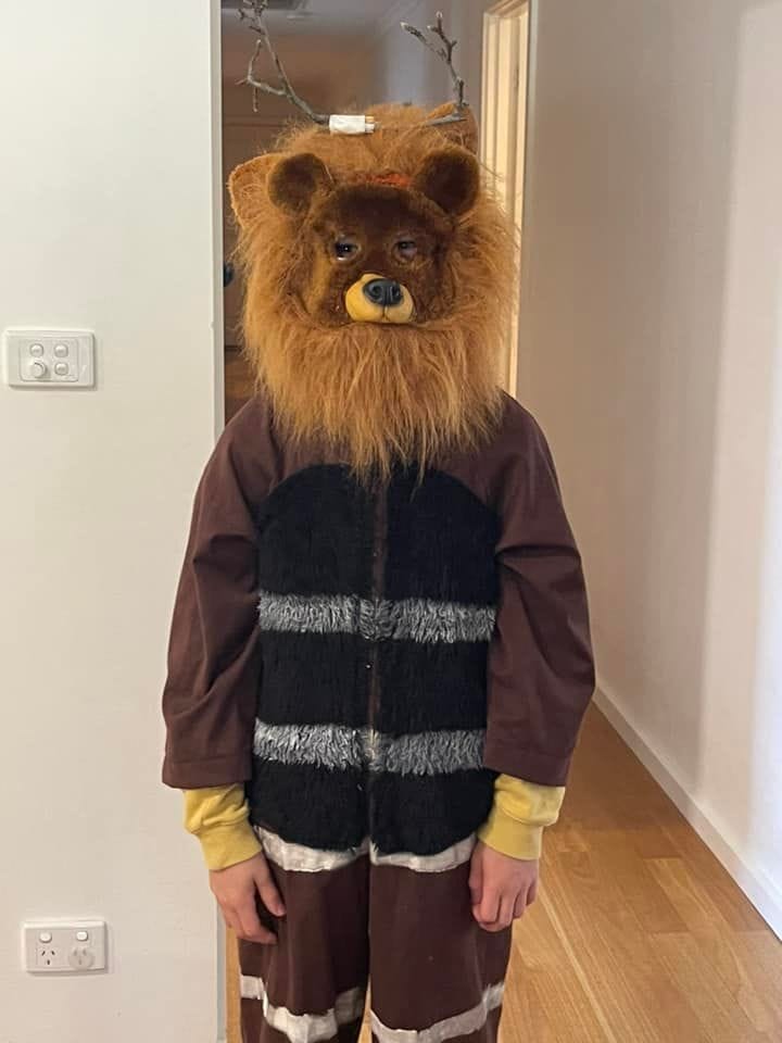 St Joseph’s School Renmark student Lawson Dring, 8, as The Very Cranky Bear.