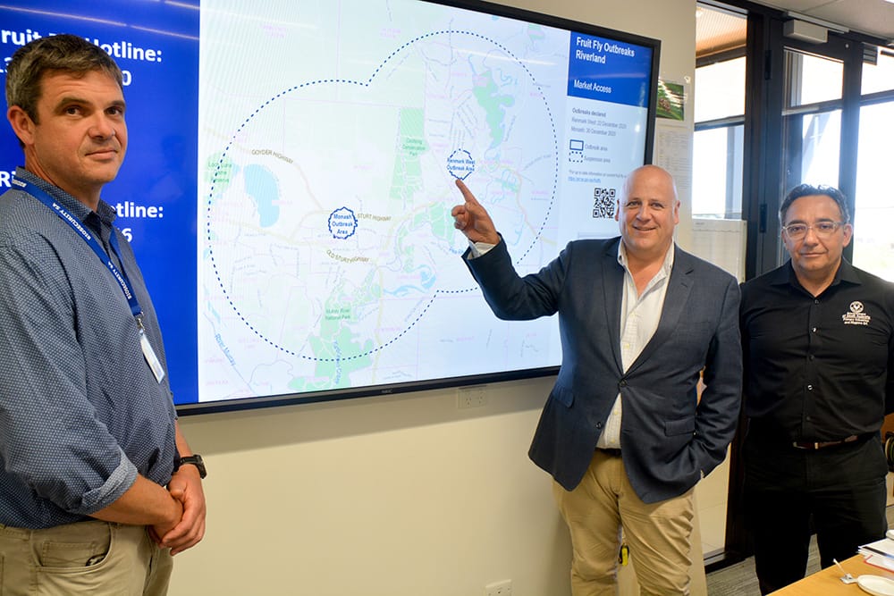 Government’s message to locals about recent fruit-fly outbreaks... ‘We’re throwing everything at it’