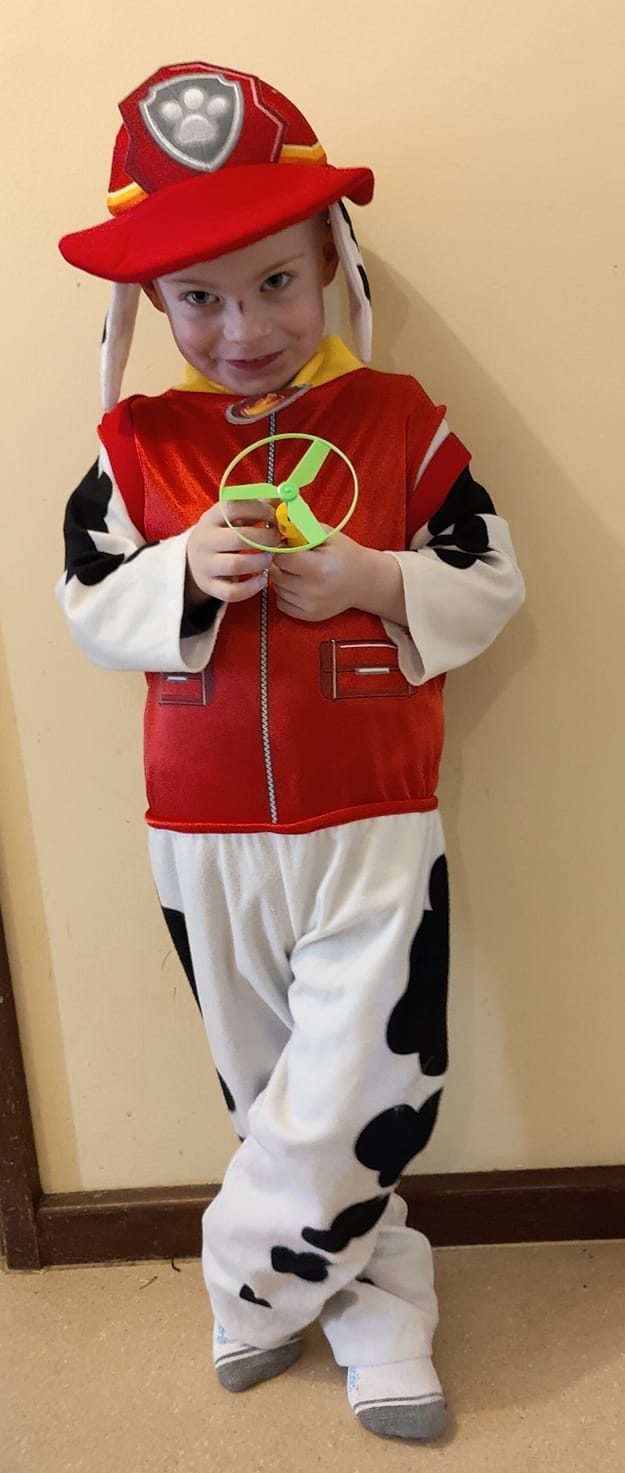 Alexander Allan, 4, from the Loxton Preschool Centre as Marshall from Paw Patrol.