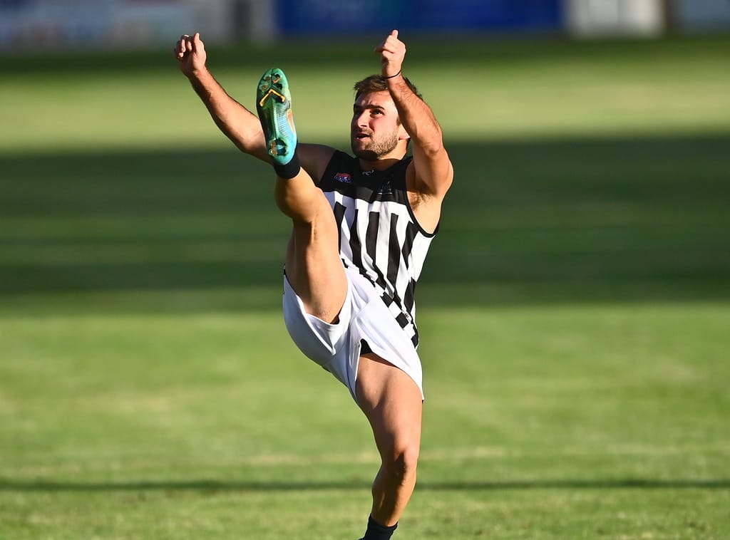Magpies secure the points