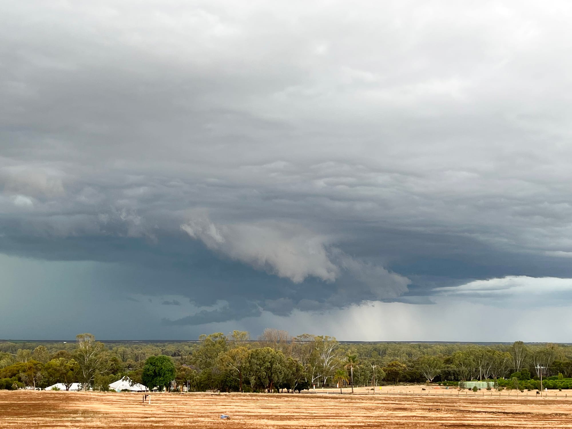 As Riverland storm bill hits an estimated $100m…Grower support coming?