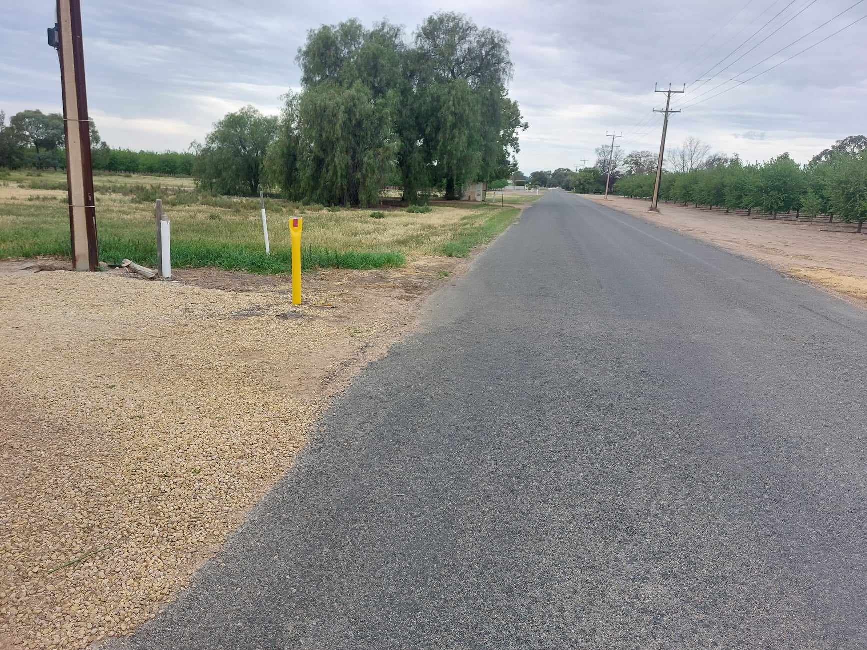 Council to develop new cat by-law, but avoiding compulsory registration… The fine (fe)line