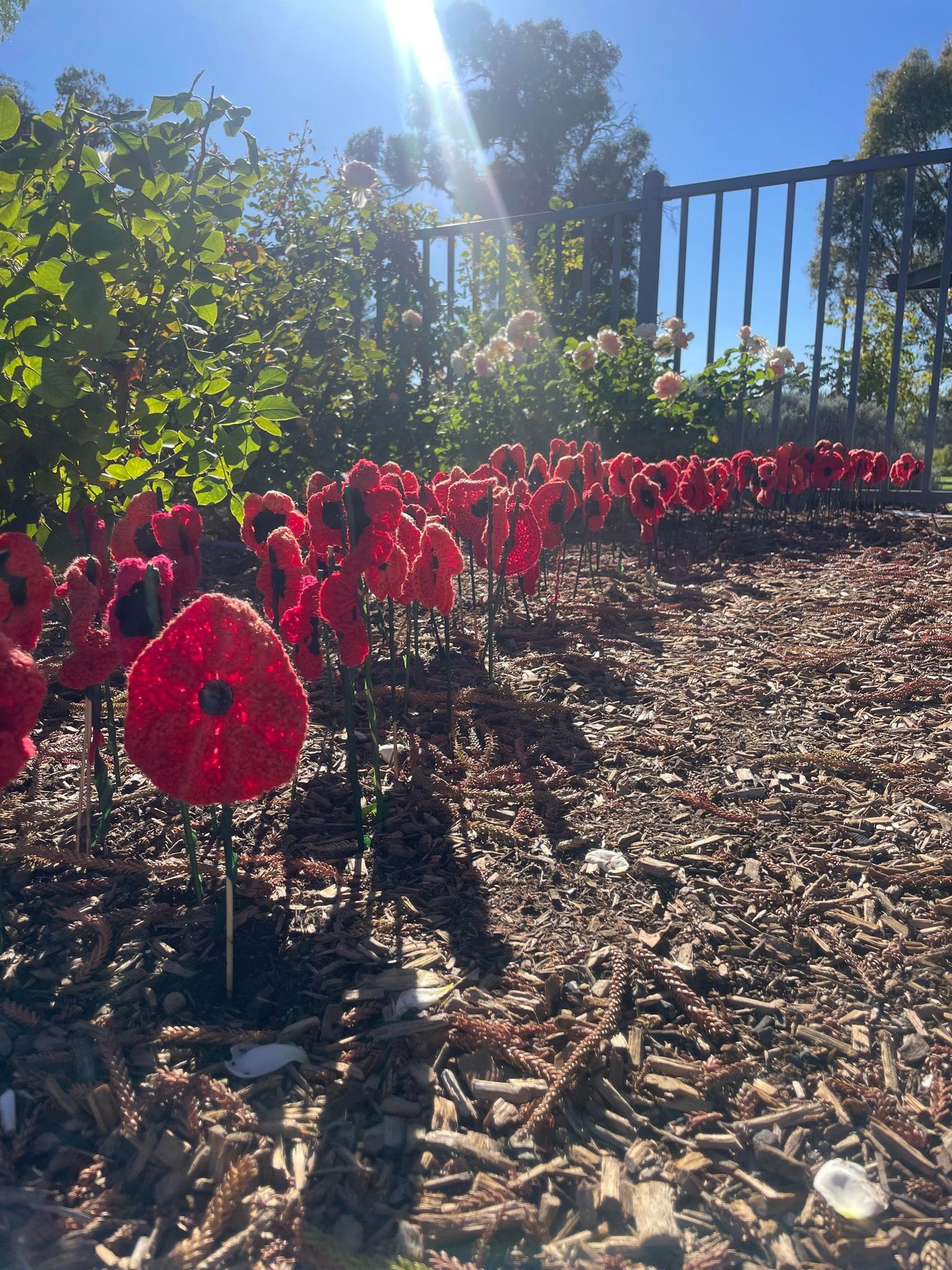 Importance of the Australian Women’s Land Army