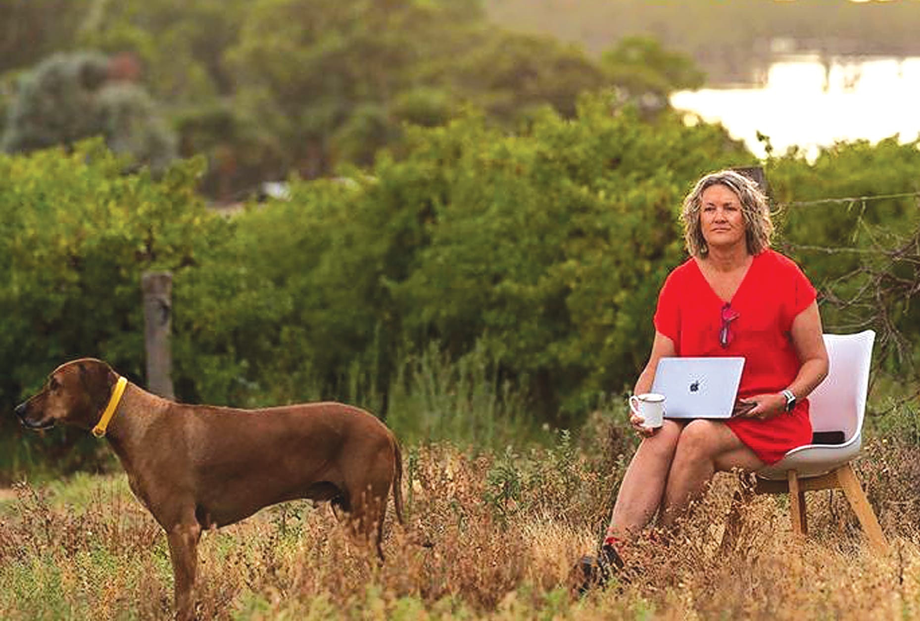 Riverland Wine ‘working hard’ to advocate for growers