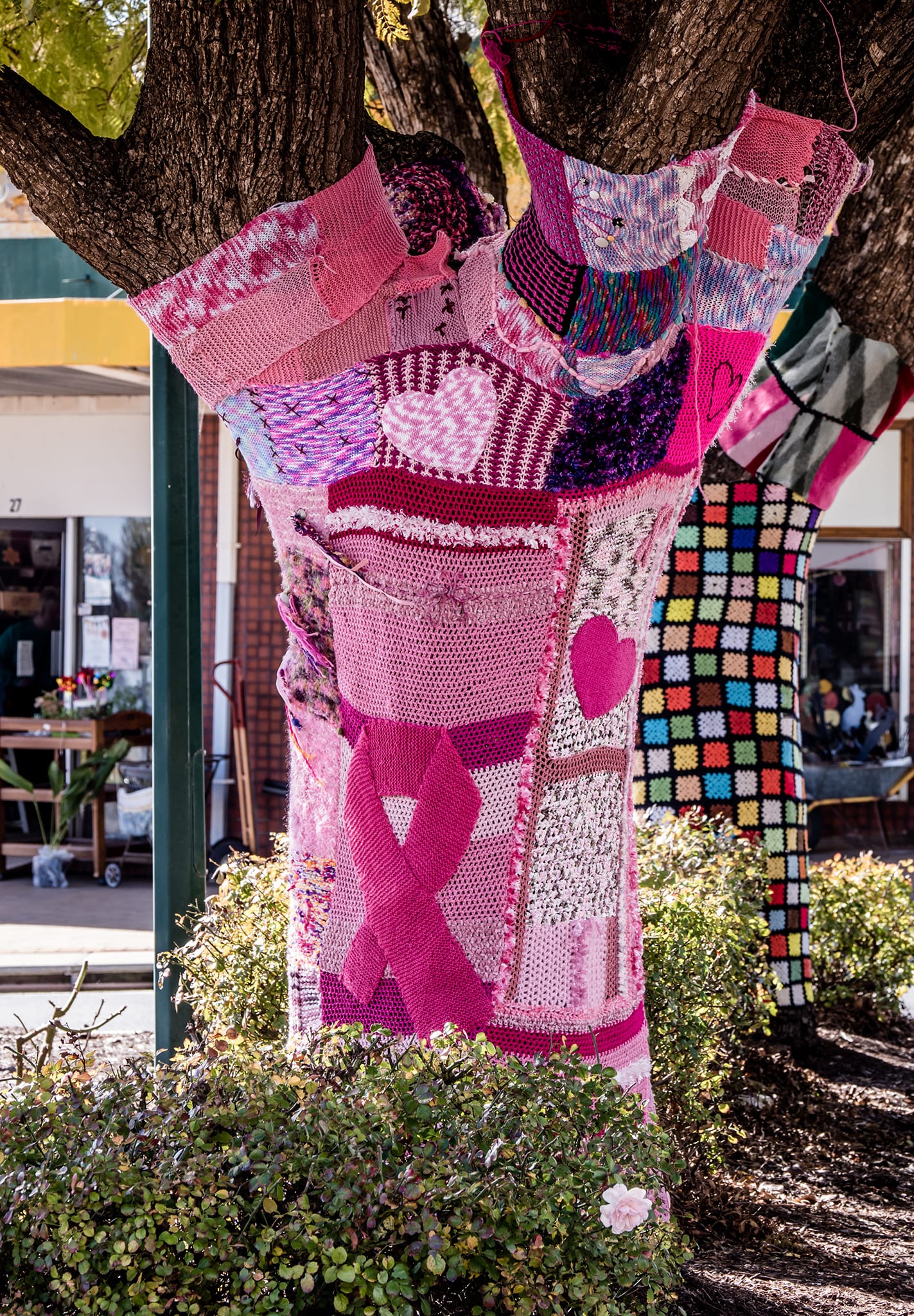 Barmera's Yarn Bomb