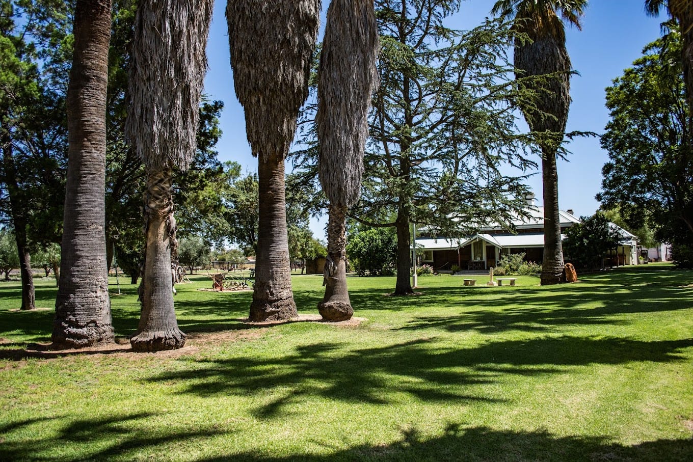 Olivewood Historic Homestead and Museum