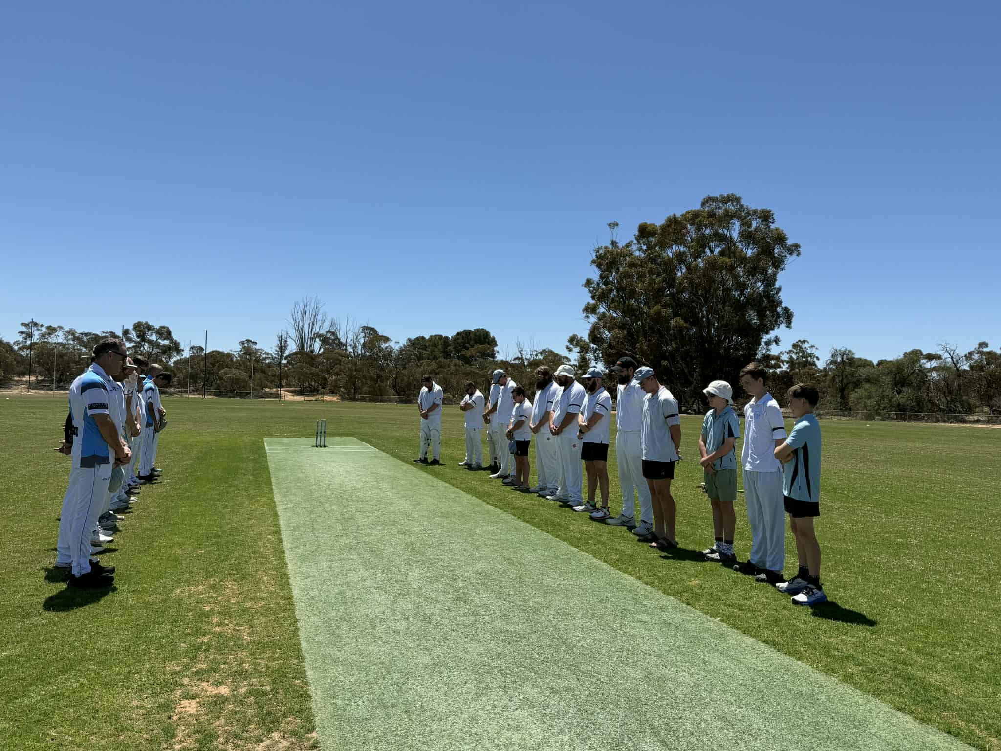 Are the Tigers the RTCA’s team to beat?