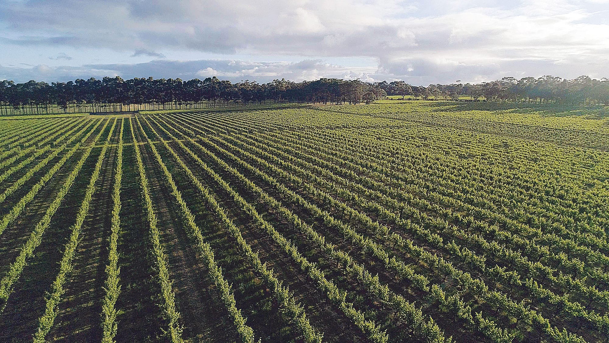 Pivotal meeting coming