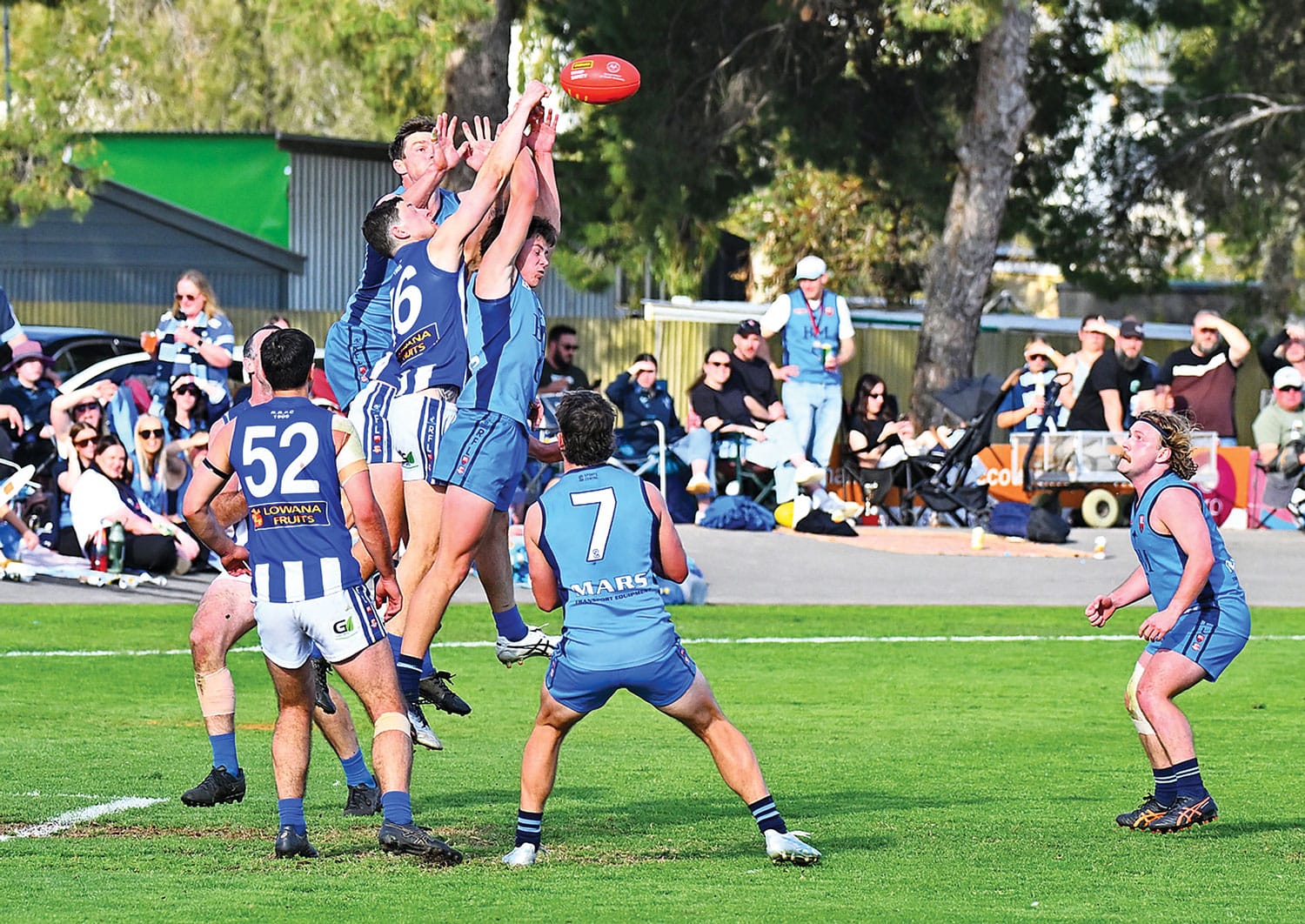 Successful year at league level