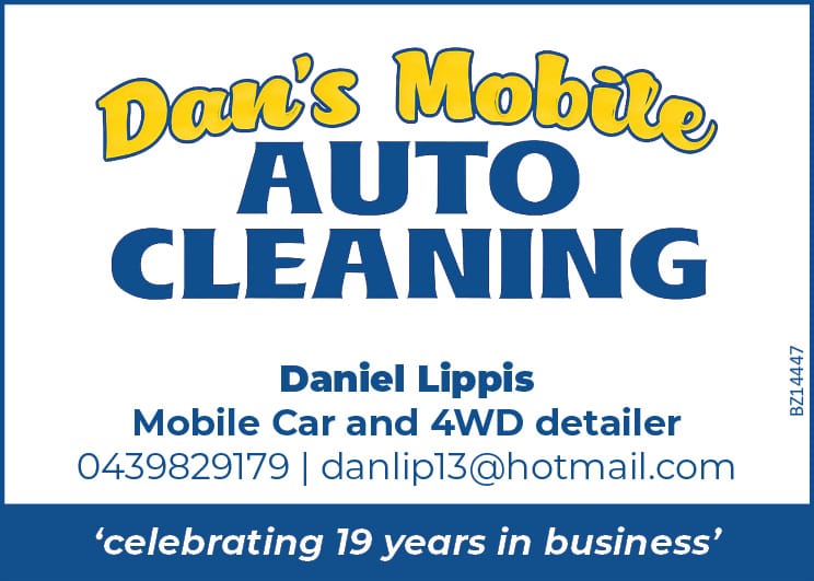 Dan's Mobile Auto Cleaning