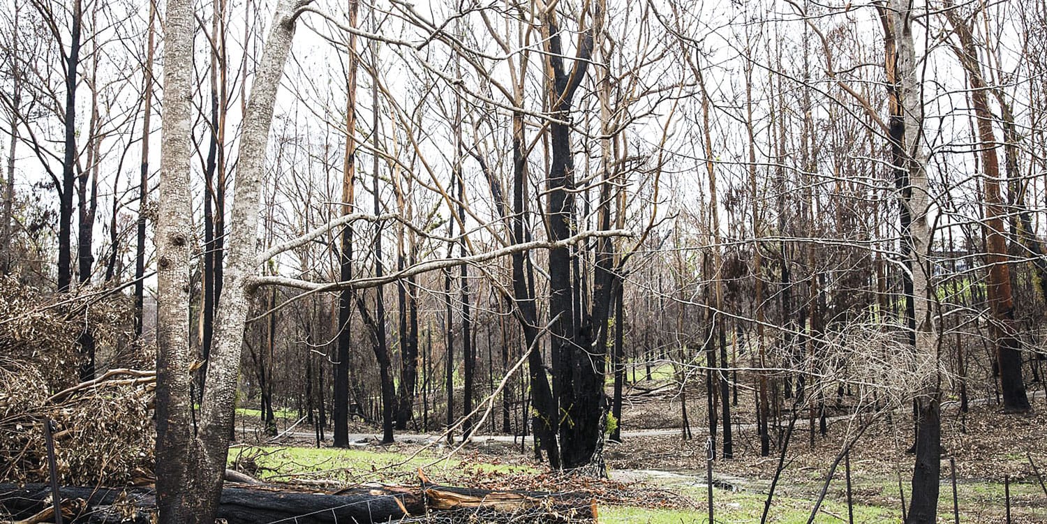 Warning for locals as bushfire home readiness falls short