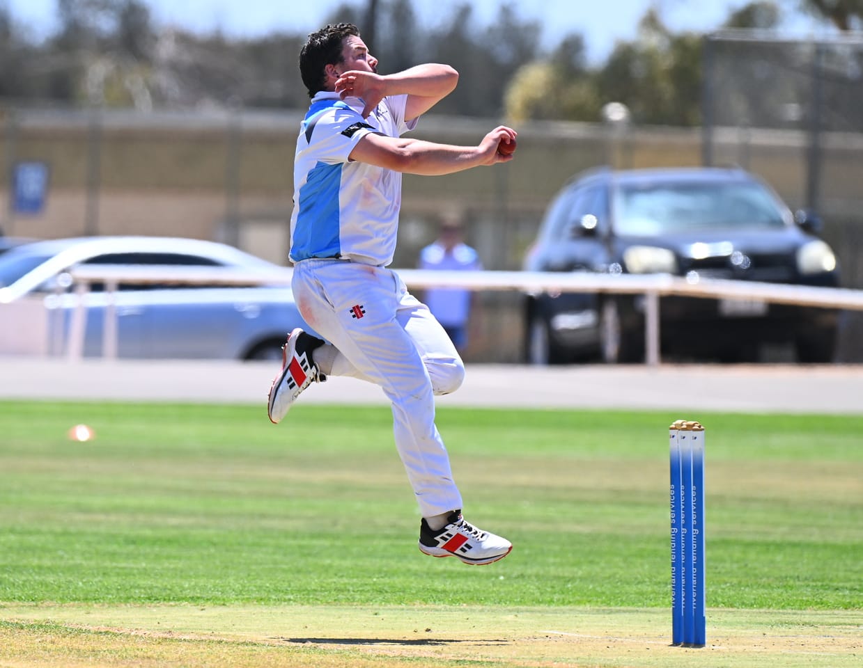 Bluetongues knock off ladder leaders