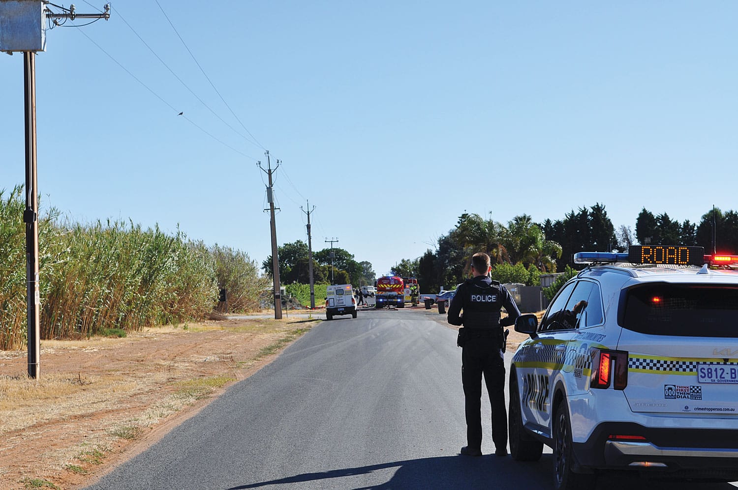 Bamboo fence fire in Renmark