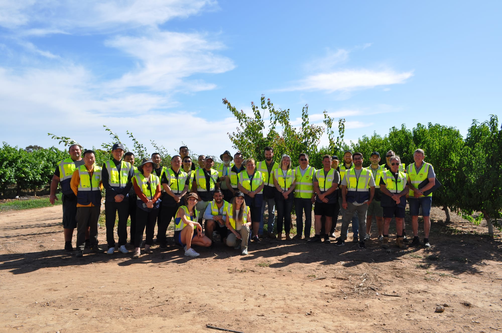 Flavour-first apricots take centre stage