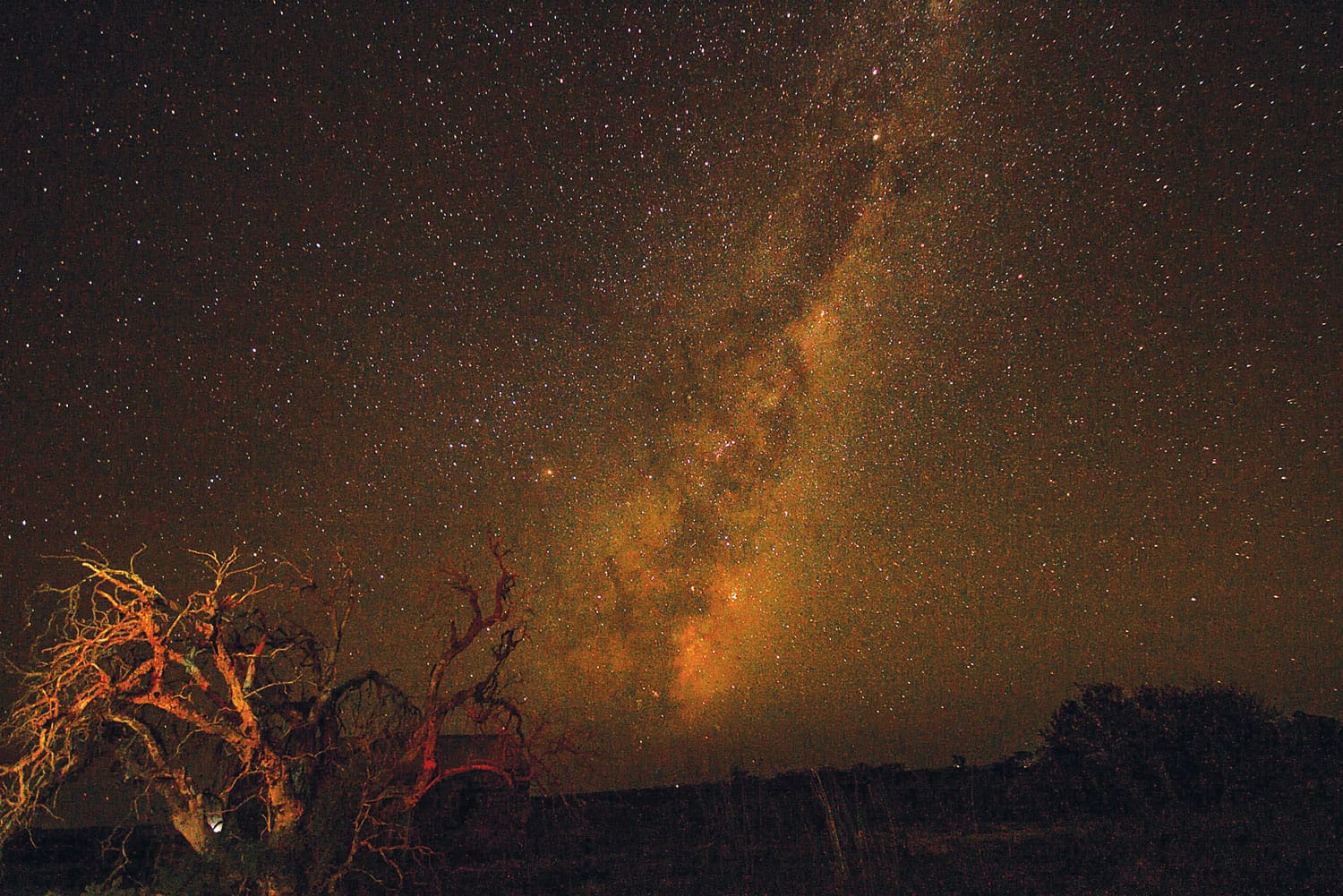 Draft constitution developed for new Dark Sky reserve