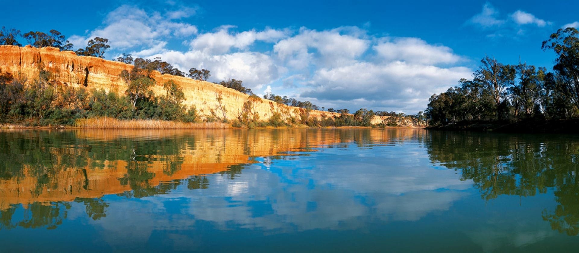Riverland leaders question impact of Lower Murray endangered listing