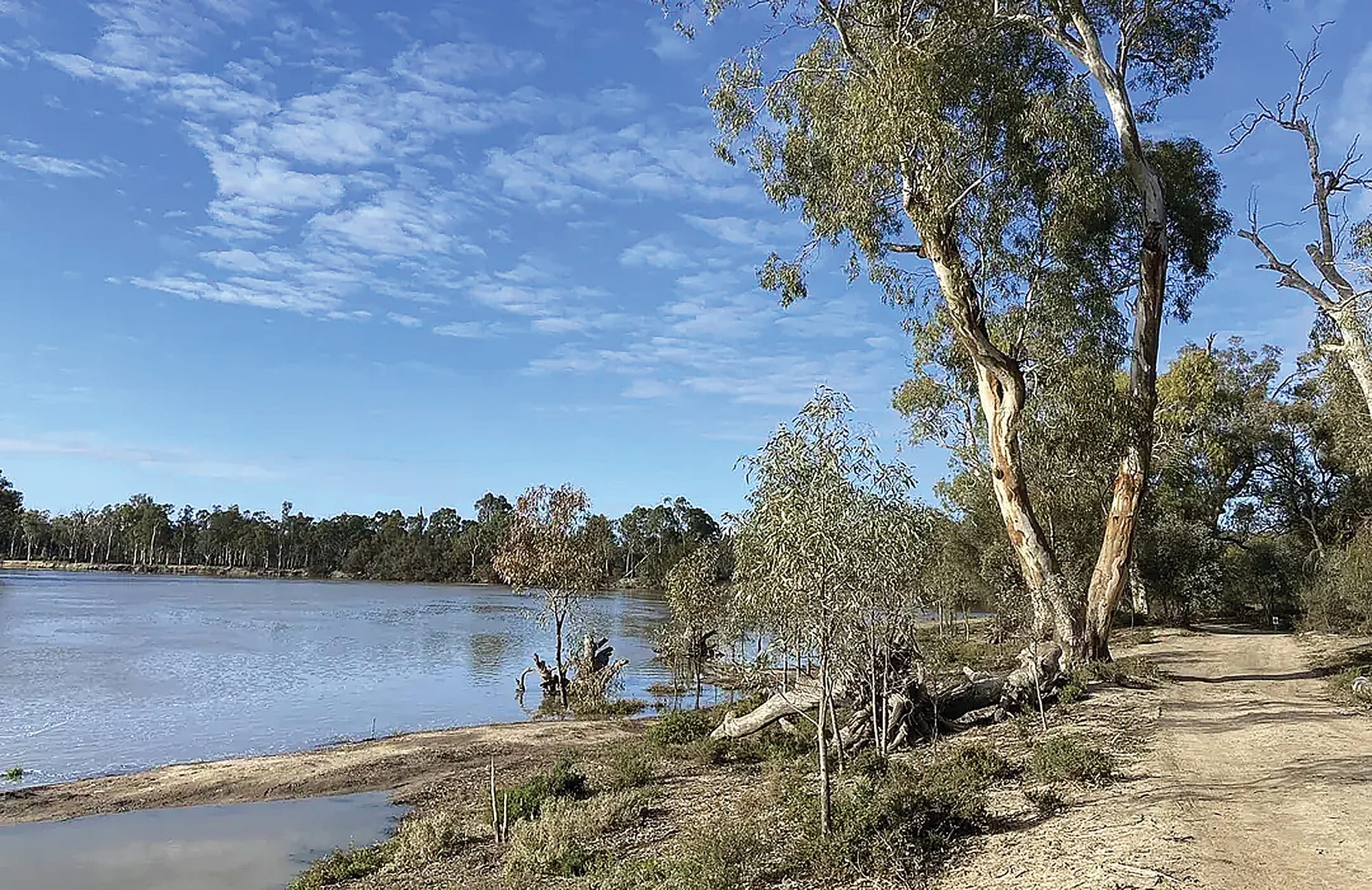 Why it must be called Ruby Hunter Island
